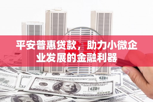 洞口平安普惠贷款，助力小微企业发展的金融利器