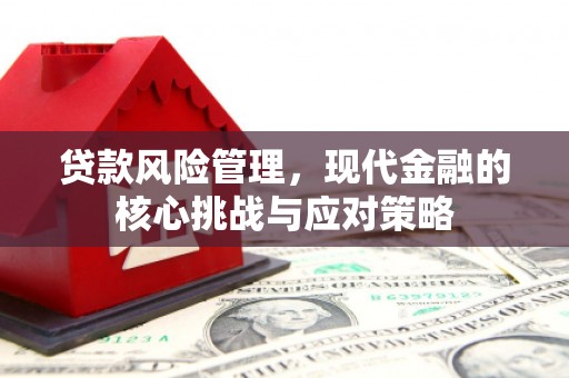 洞口贷款风险管理，现代金融的核心挑战与应对策略