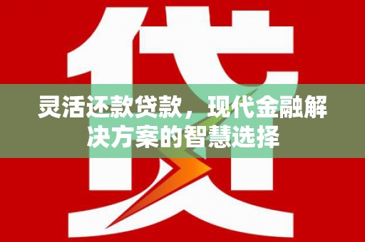 洞口灵活还款贷款，现代金融解决方案的智慧选择