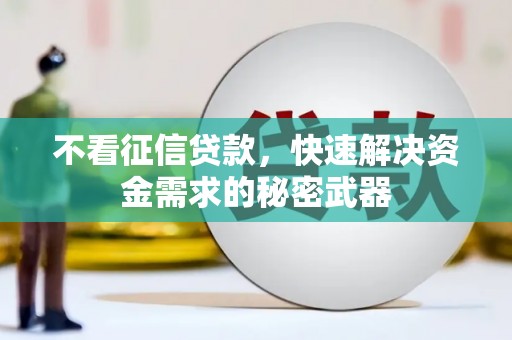 洞口不看征信贷款，快速解决资金需求的秘密武器