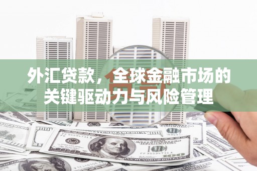 洞口外汇贷款，全球金融市场的关键驱动力与风险管理