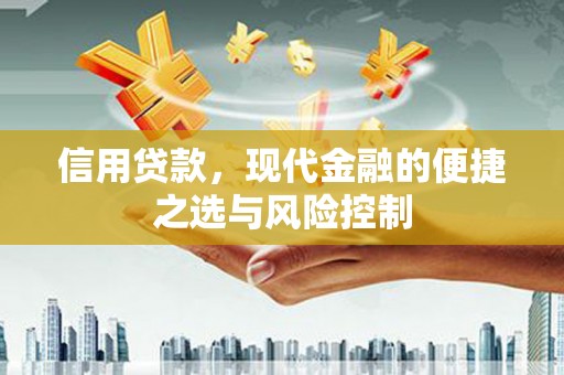 洞口信用贷款，现代金融的便捷之选与风险控制