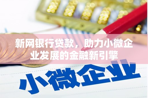 洞口新网银行贷款，助力小微企业发展的金融新引擎