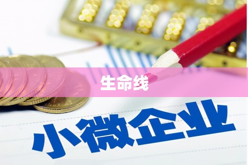 洞口生命线
