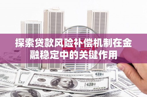 洞口探索贷款风险补偿机制在金融稳定中的关键作用
