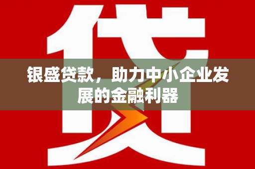 洞口银盛贷款，助力中小企业发展的金融利器