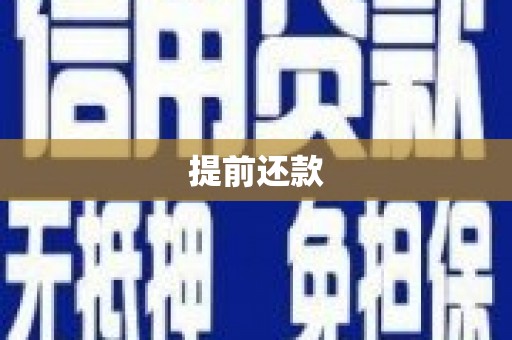 洞口提前还款