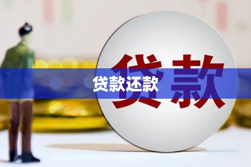 洞口贷款还款