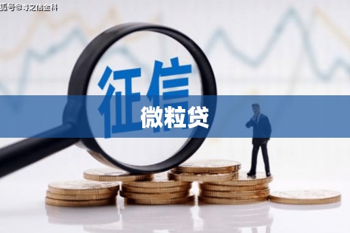 洞口微粒贷