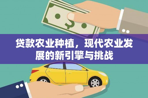 洞口贷款农业种植，现代农业发展的新引擎与挑战