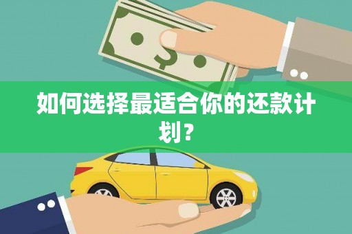 洞口如何选择最适合你的还款计划？