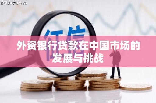 洞口外资银行贷款在中国市场的发展与挑战