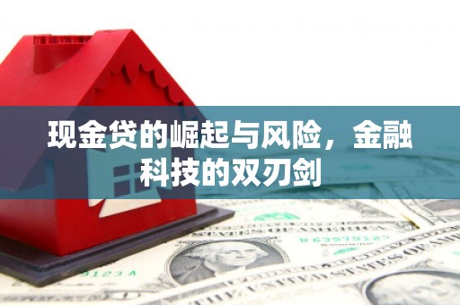 洞口现金贷的崛起与风险，金融科技的双刃剑