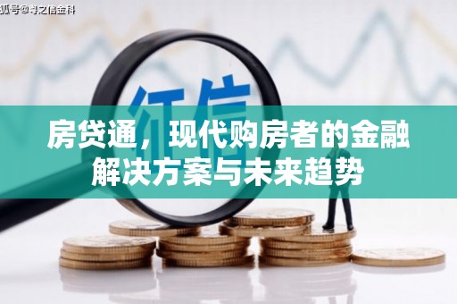 洞口房贷通，现代购房者的金融解决方案与未来趋势