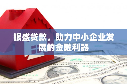洞口银盛贷款，助力中小企业发展的金融利器
