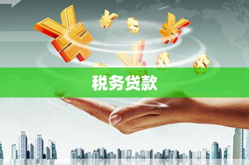 洞口税务贷款