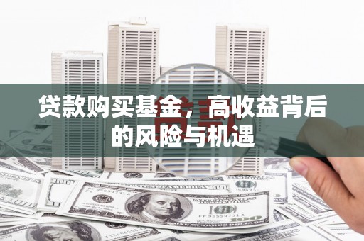 洞口贷款购买基金，高收益背后的风险与机遇