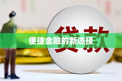 洞口便捷金融的新选择