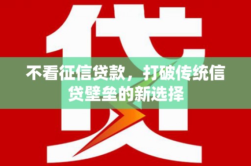洞口不看征信贷款，打破传统信贷壁垒的新选择