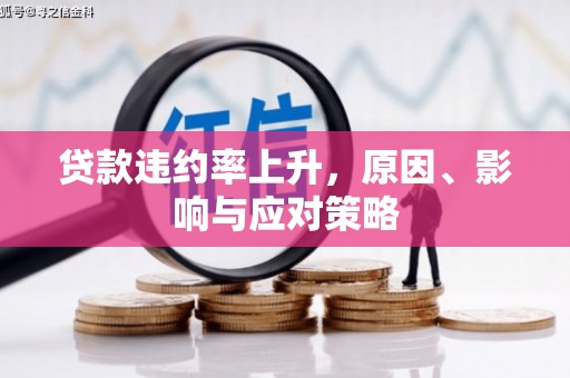 洞口贷款违约率上升，原因、影响与应对策略