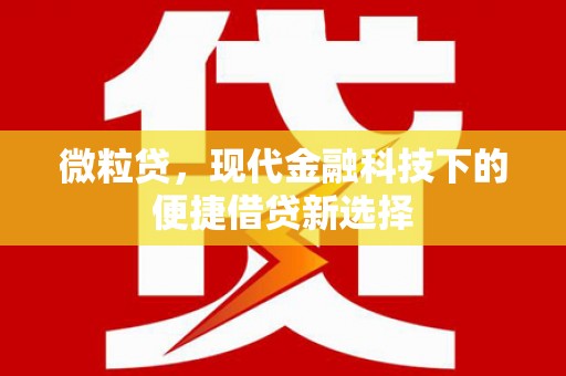 洞口微粒贷，现代金融科技下的便捷借贷新选择