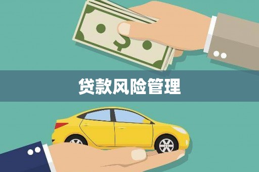 洞口贷款风险管理