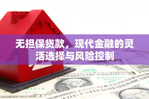 洞口无担保贷款，现代金融的灵活选择与风险控制