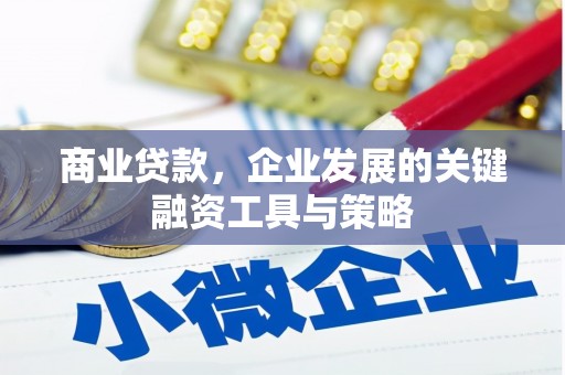 洞口商业贷款，企业发展的关键融资工具与策略