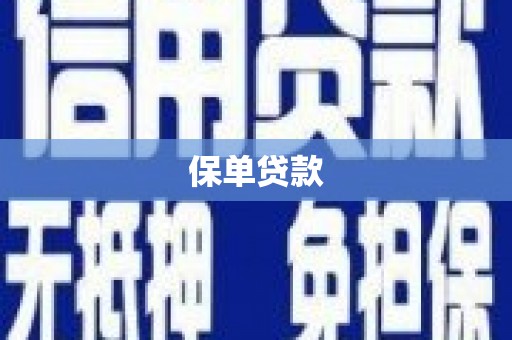 洞口保单贷款