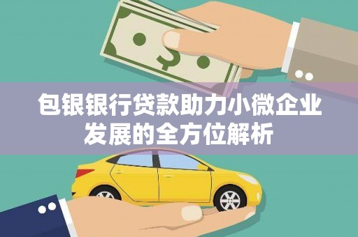 洞口包银银行贷款助力小微企业发展的全方位解析
