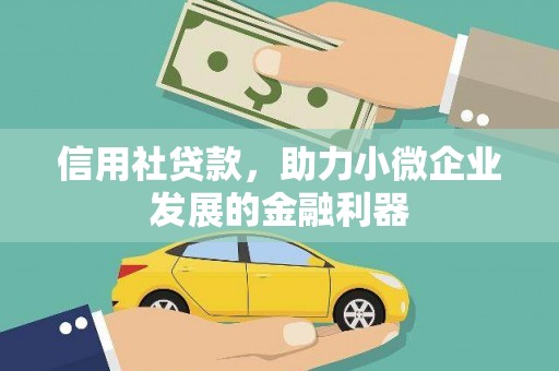 洞口信用社贷款，助力小微企业发展的金融利器