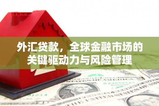 洞口外汇贷款，全球金融市场的关键驱动力与风险管理