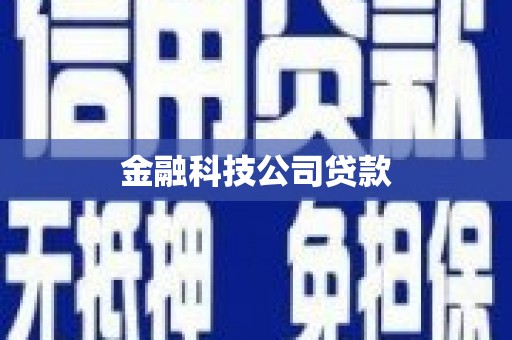洞口金融科技公司贷款