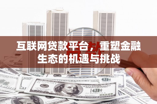 洞口互联网贷款平台，重塑金融生态的机遇与挑战