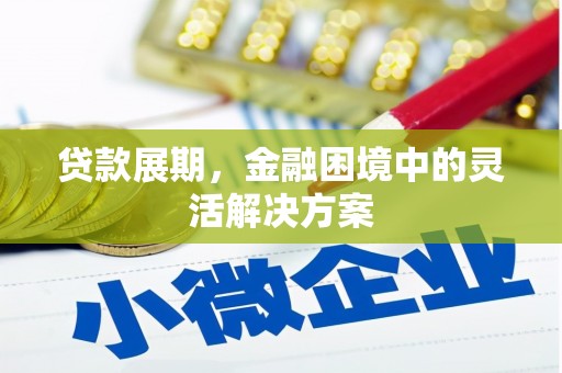 洞口贷款展期，金融困境中的灵活解决方案