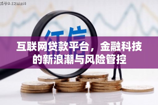 洞口互联网贷款平台，金融科技的新浪潮与风险管控