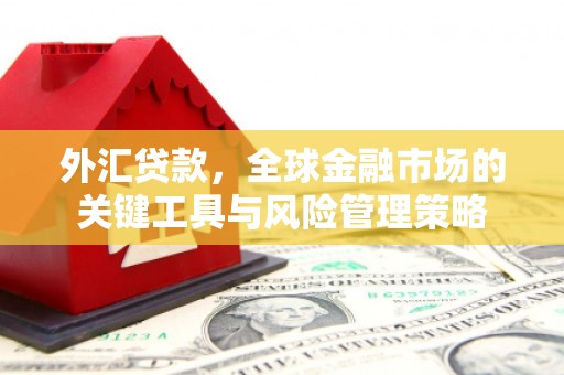 洞口外汇贷款，全球金融市场的关键工具与风险管理策略