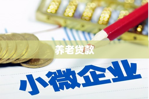 洞口养老贷款