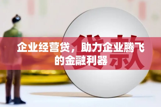 洞口企业经营贷，助力企业腾飞的金融利器