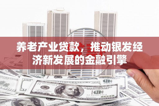 洞口养老产业贷款，推动银发经济新发展的金融引擎