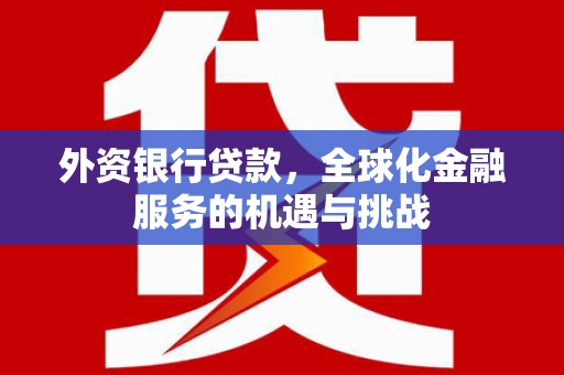 洞口外资银行贷款，全球化金融服务的机遇与挑战