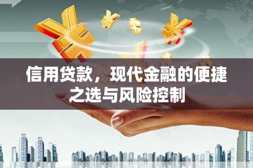 洞口信用贷款，现代金融的便捷之选与风险控制