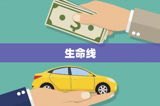 洞口生命线