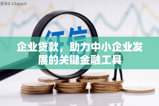 洞口企业贷款，助力中小企业发展的关键金融工具