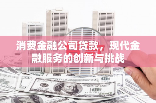 洞口消费金融公司贷款，现代金融服务的创新与挑战