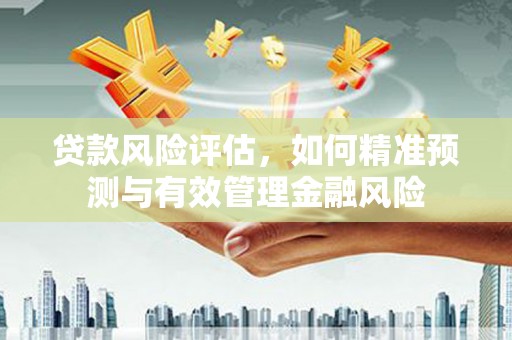 洞口贷款风险评估，如何精准预测与有效管理金融风险