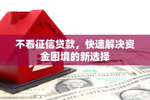 洞口不看征信贷款，快速解决资金困境的新选择