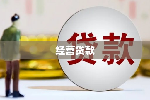 洞口经营贷款