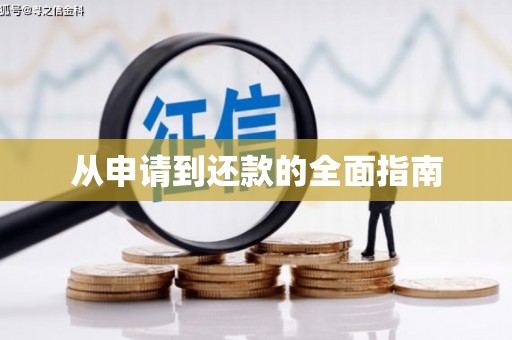 洞口从申请到还款的全面指南
