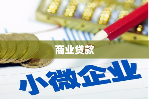 洞口商业贷款